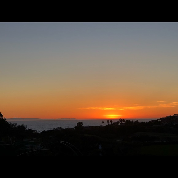 Meet your Posher, Ava - Picture 1 of 1